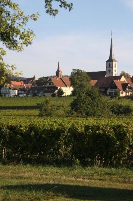 Le Grenier Des Aromes Au Domaine Wittmann Bed and Breakfast Mittelbergheim Eksteriør billede